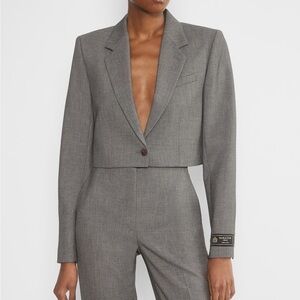 Aritzia Babaton Gray Cropped Blazer with Notched Lapel
